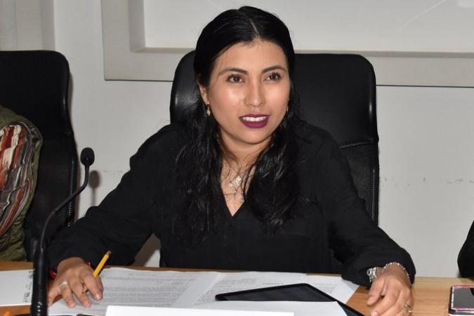 Detenciones son muestra que no se pacta con delincuencia: diputada