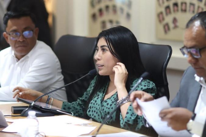 Pide Nora Merino remoción de edil de Juan N. Méndez por violencia contra regidora