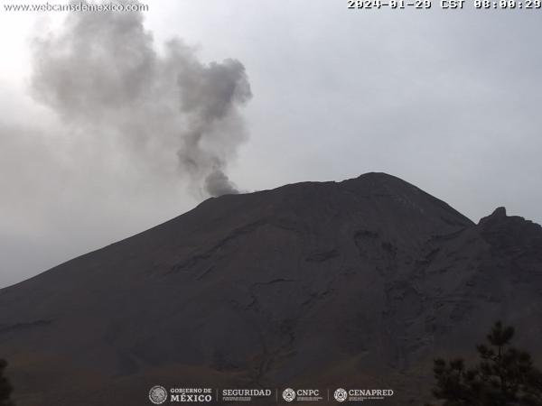 Popocatépetl registra 7 exhalaciones y 1200 minutos de tremor