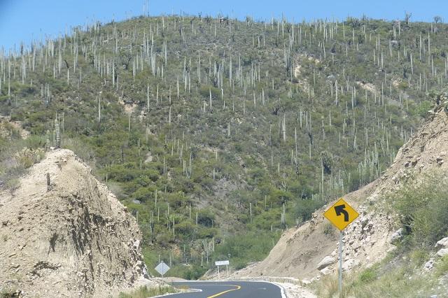 Analizan convertir valle Tehuacán-Cuicatlán en Patrimonio de la Humanidad image 2