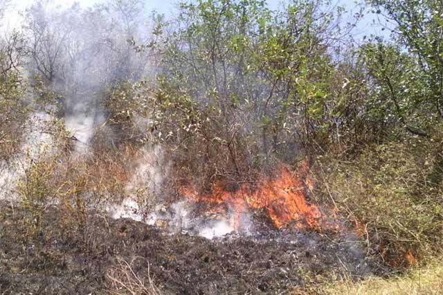 Disminuye hasta 50% quema de pastizales en Izúcar