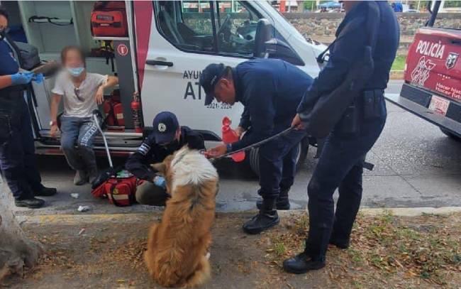Canino atacó a mujer de la tercera edad y a su mascota en Atlixco