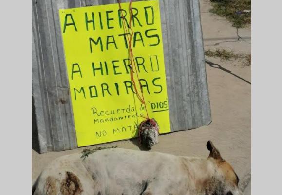 Vecinos de Tlacotepec amenazan a mataperros