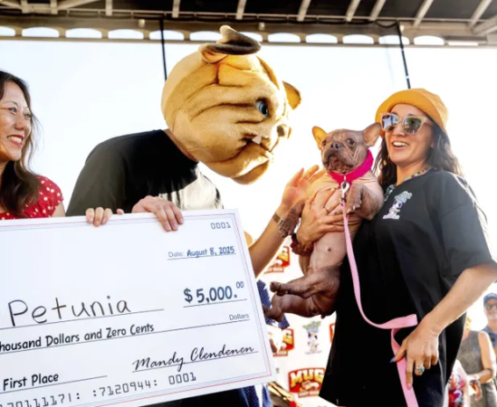 Conoce al campeón del concurso del perro más feo del mundo