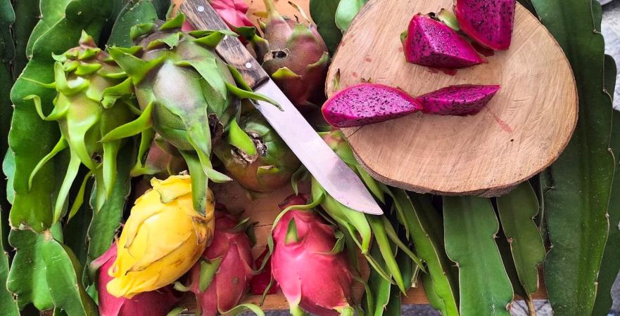 Insuficiente, la producción de pitahaya en Tehuacán para acceder a exportación