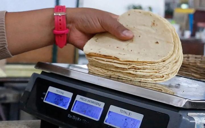 Consejo Nacional de la Tortilla abandona mesas de trabajo con Sader