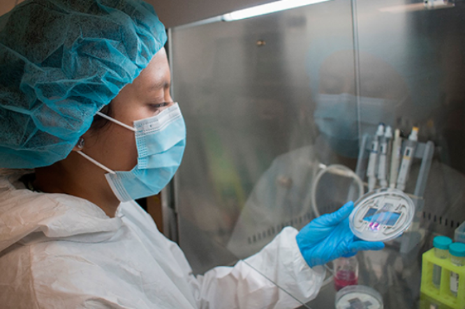 Colocan células en dispositivos miniaturizados para probar medicinas antes de recetarlas