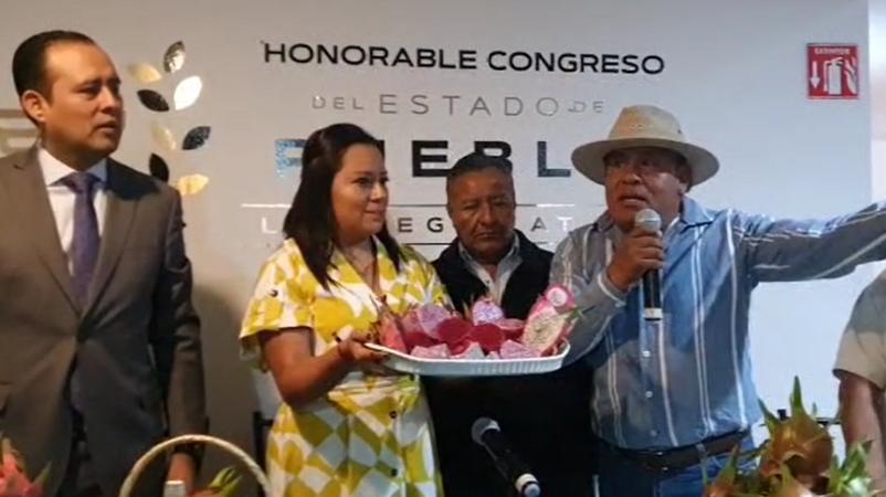 Invitan a la Feria Agro Artesanal de la Pitahaya en Huitziltepec