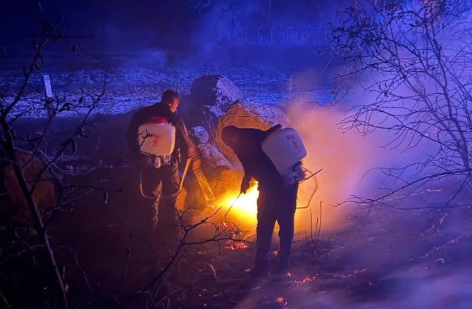 Incendios forestales ya afectan a Tepeojuma