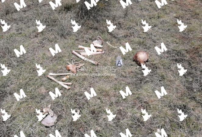 Hallan restos humanos en Tecali de Herrera