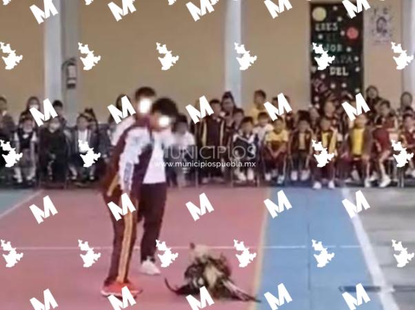 Denuncian al Centro Escolar de Tehuacán por fomentar pelea de gallos