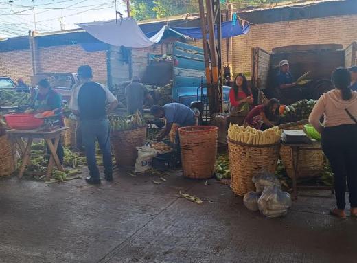 Decae venta del elote 50% en Tehuacán; precio se mantiene estable