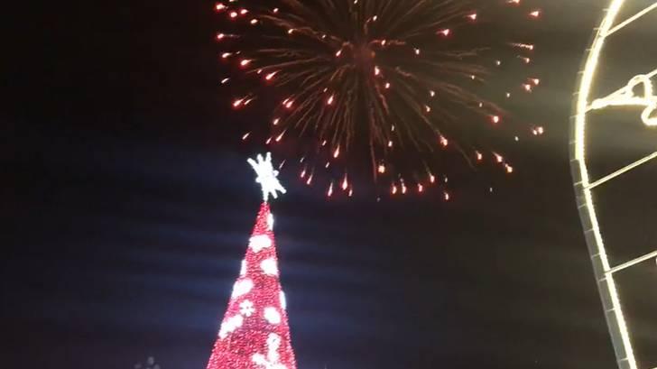 Encienden el árbol navideño del CAIC´s del DIF de San Andrés Cholula