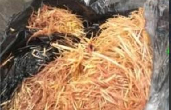 Se incrementa el depósito de desechos cárnicos en contenedores de basura en Tehuacán