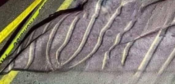 Fue a un baile y terminó atropellado en Tlachichuca