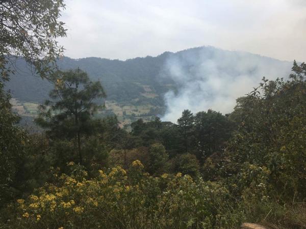 Sofocan incendio forestal que afectó 150 hectáreas de Zacatlán image 1