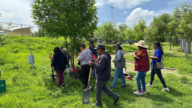Refuerza Gobierno de la Ciudad reforestación con más de 964 árboles plantados