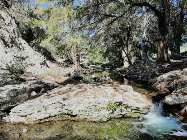 Limpiarán atractivos turísticos naturales en Izúcar