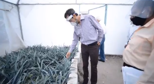 Con talleres, impulsa BUAP autoempleo en comunidades vulnerables