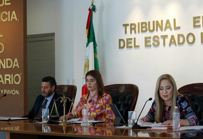 Desecha Tribunal quejas de aspirantes a candidatos independientes