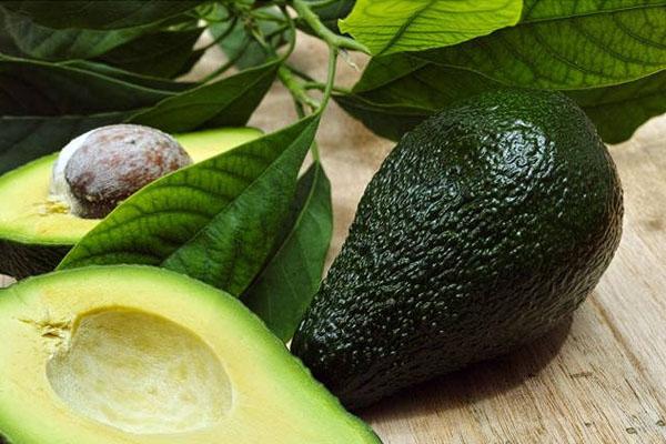 El aguacate y sus propiedades curativas que no conocías