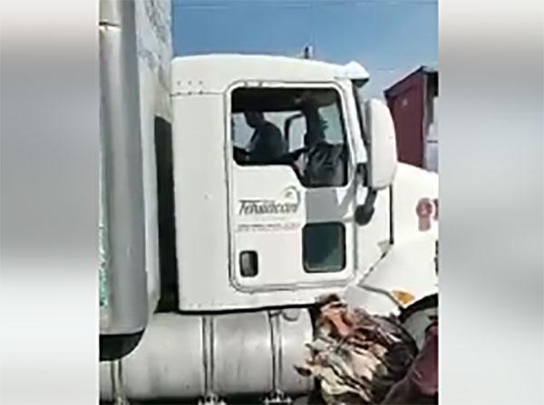 VIDEO Conductor de colectiva golpea a chofer y otro más lo lesiona con machete