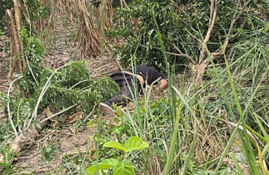 Poblano trabajador de Corona es asesinado en asalto en Veracruz