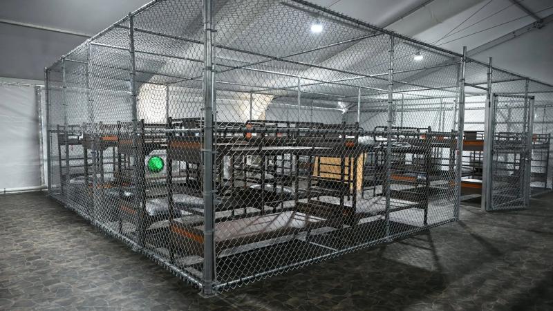 Se mantienen 78 mexicanos detenidos en Alligator Alcatraz