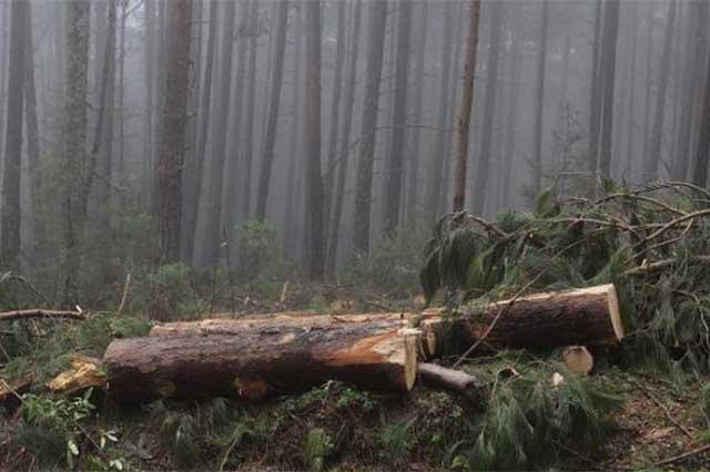 Foto Archivo Foto Archivo