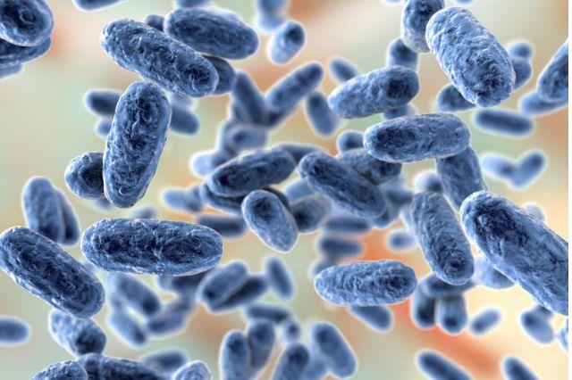 Vacunación, la única barrera contra la tosferina