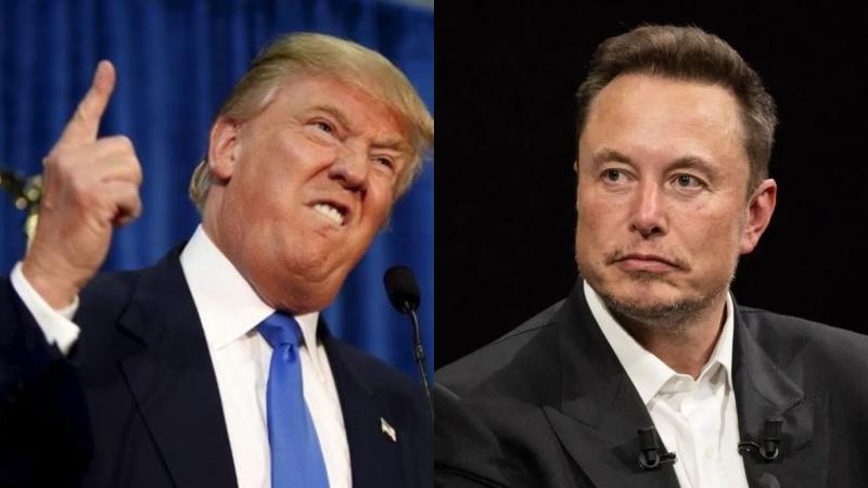 Donald Trump amenaza con investigar penalmente a Elon Musk para deportarlo