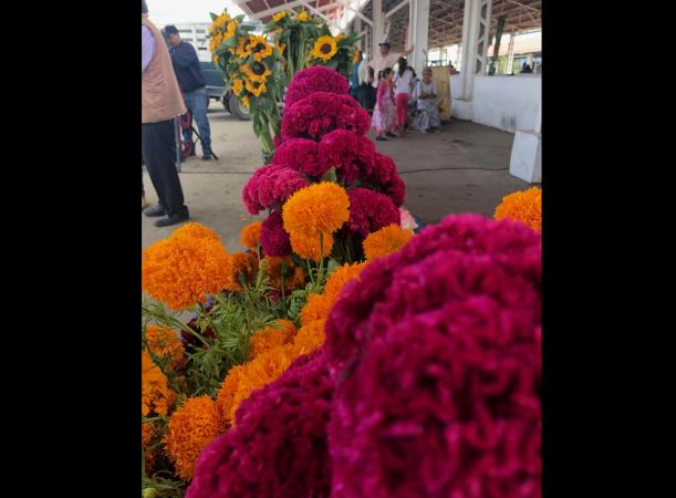 Listas 18 mil toneladas de flor de muerto en Atlixco