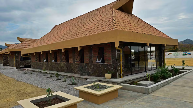 Universidades… gansito