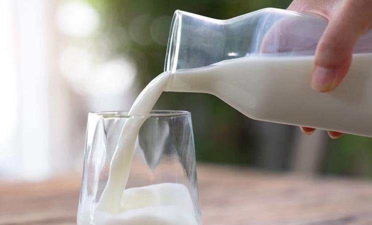 Gobierno podría instalar Planta de Leche para el Bienestar en la región de Cholula