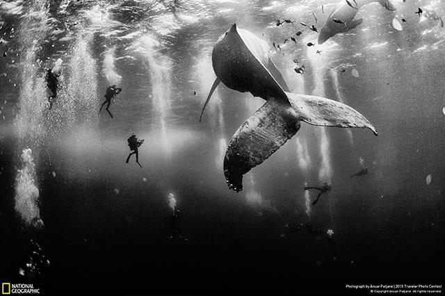 Foto: National Geographic