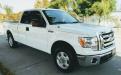 Ford Pick UP con placas de circulación SL64371