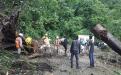 Reabren circulación en carreteras afectadas en la Sierra Norte image 2