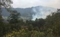 Sofocan incendio forestal que afectó 150 hectáreas de Zacatlán image 1