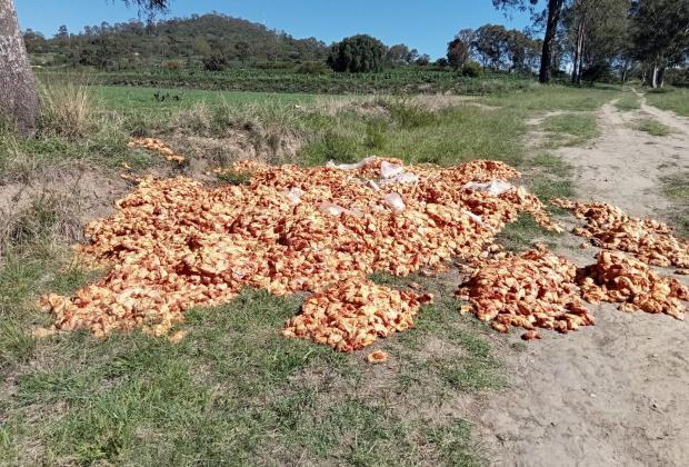 Tiran decenas de kilos de pollo cerca del relleno sanitario de Texmelucan