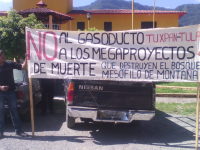 Foto Leticia Ánimas