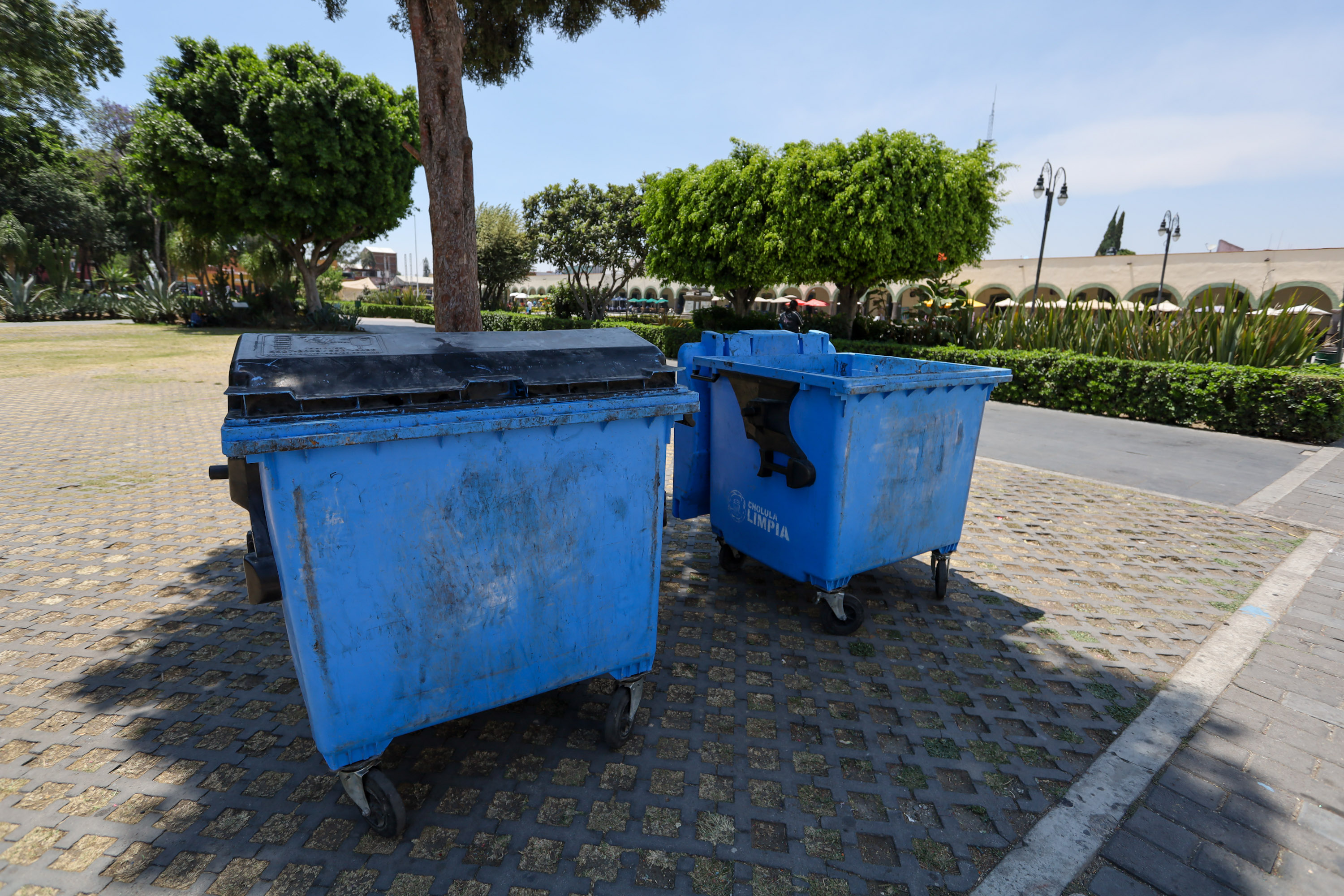 Pide Paola Angon que ciudadanos respeten horario de recolección de basura