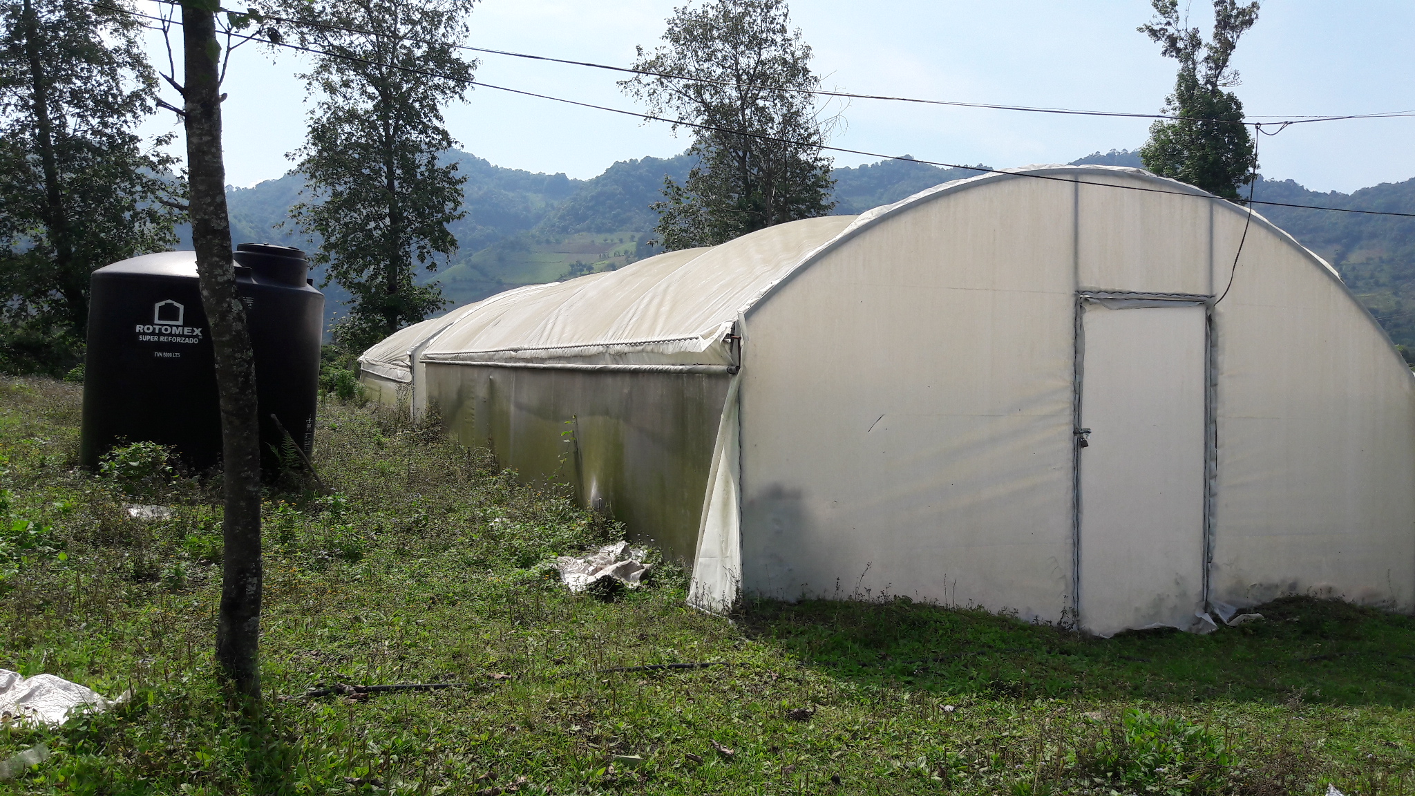 Fracasa proyecto productivo de la Sedesol para mujeres en Huauchinango