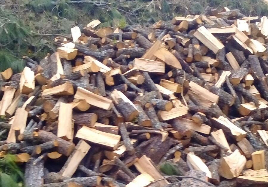  Acusa notario abuso de Profepa por impedir tala de árboles en Huauchinango
