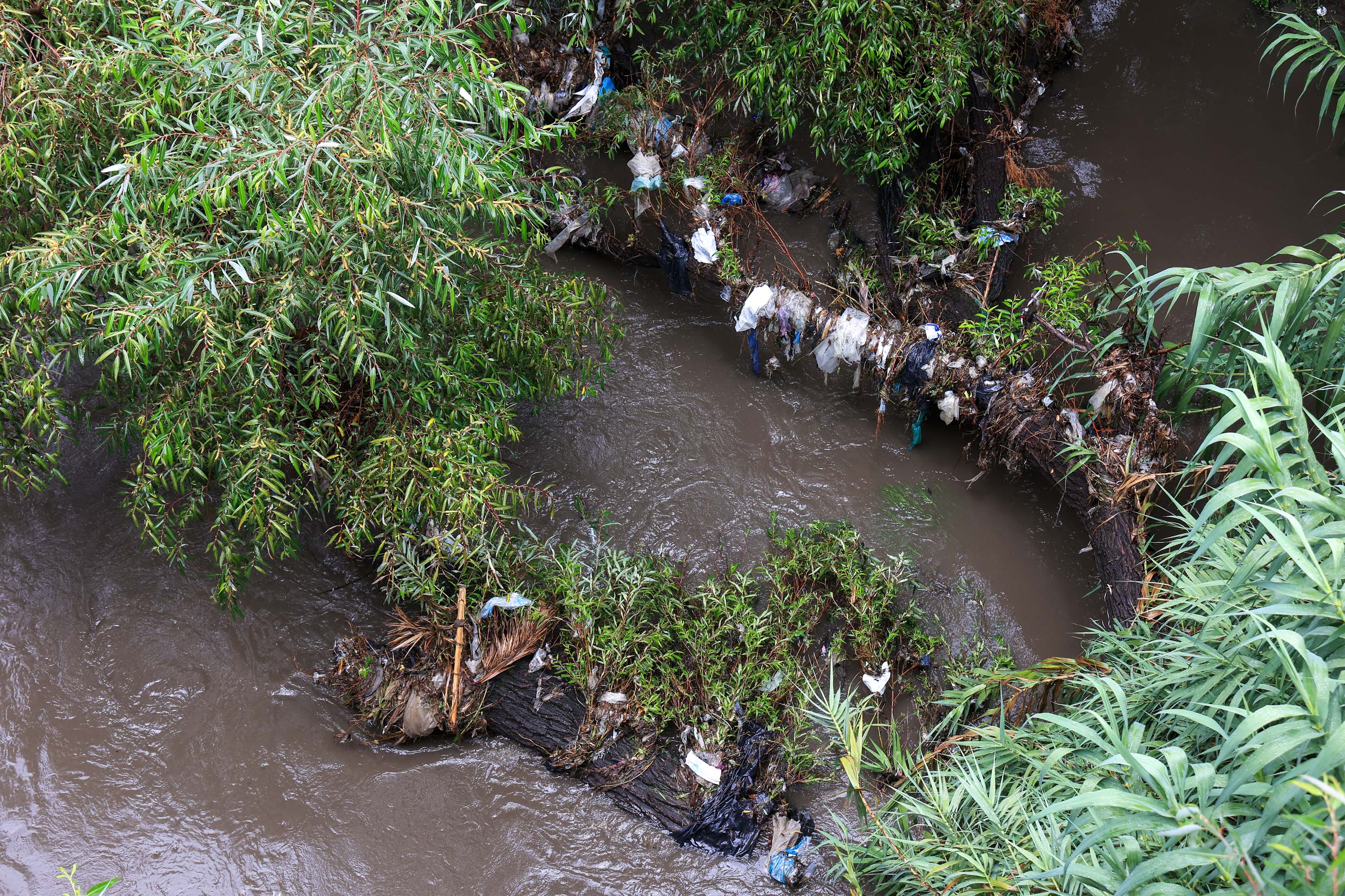 Ya van 50 empresas clausuradas por contaminar el río Atoyac