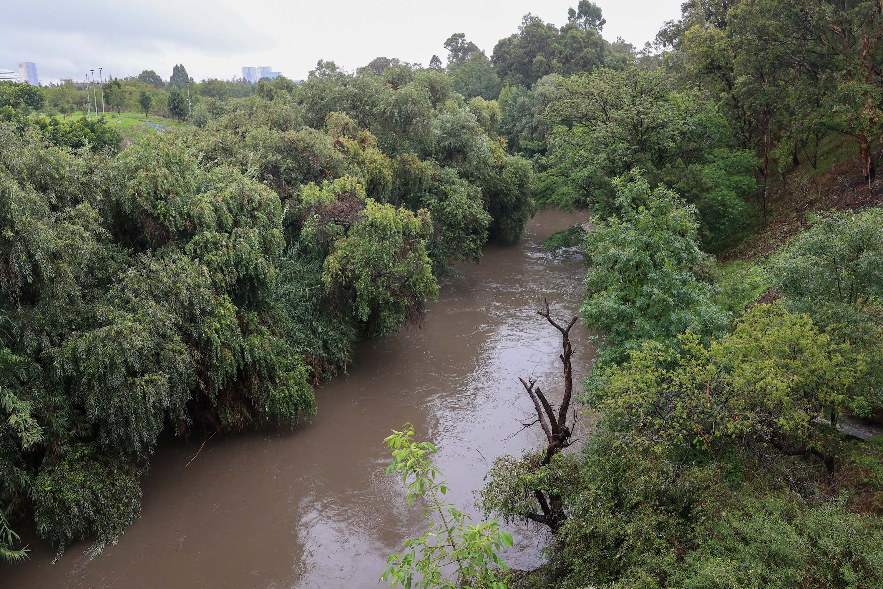 Reconoce Céspedes falta de tiempo para el rescate del Río Atoyac