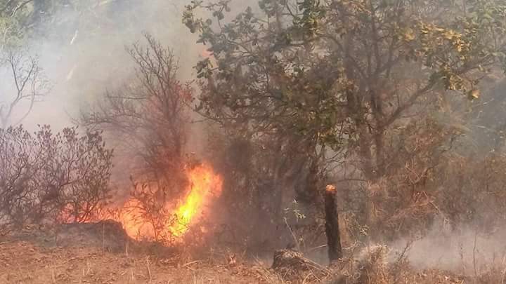 Desalojan casas por incendio en la Sierra Negra de Ajalpan