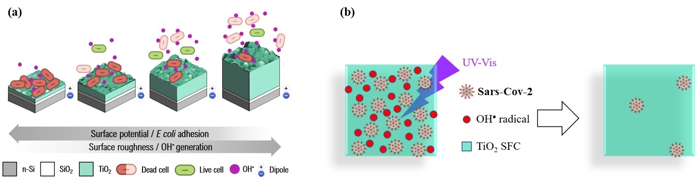 INAOE desarrolla nanotecnología para eliminar bacterias y virus