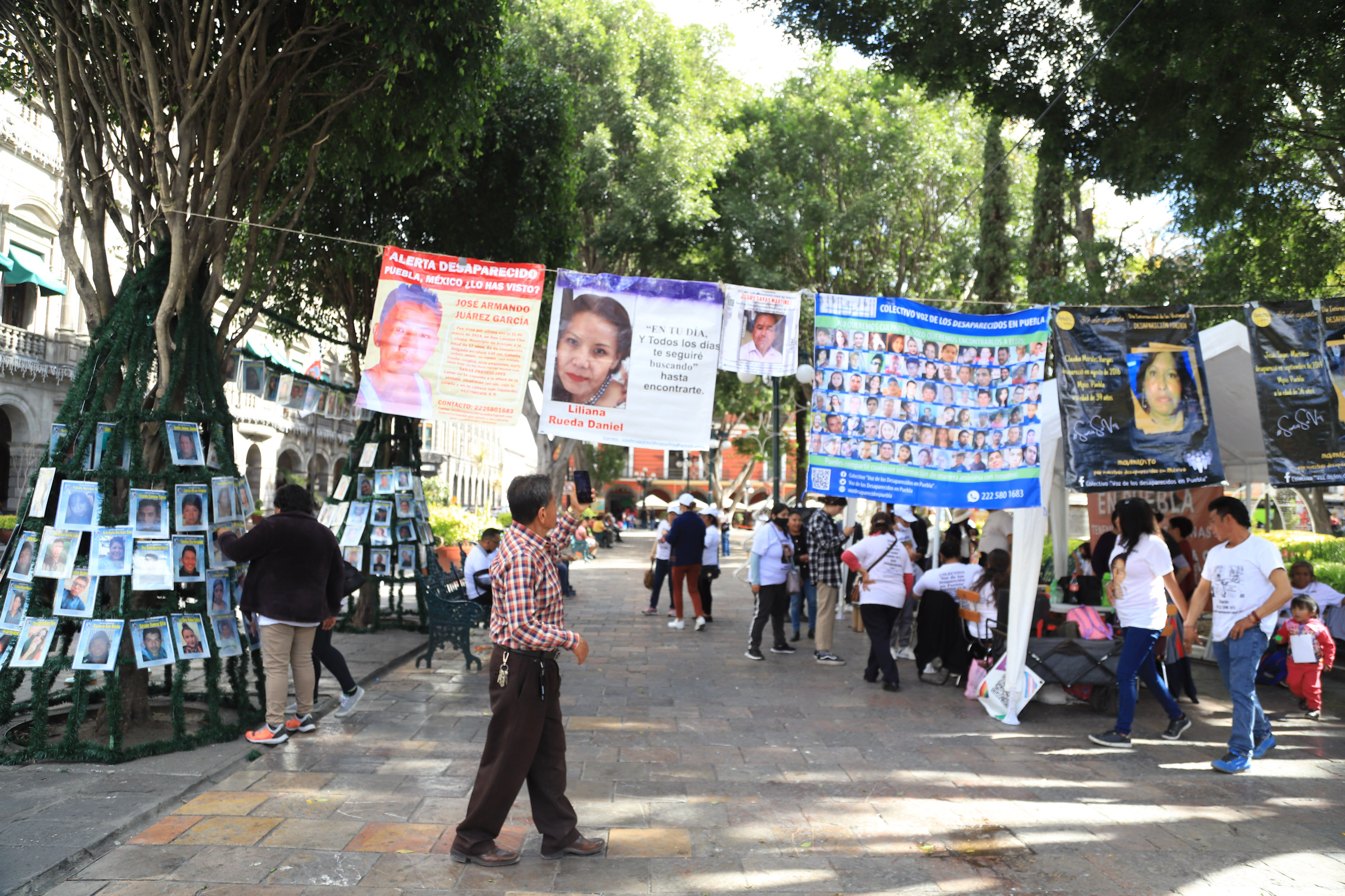 VIDEO Colocan Árbol de la Esperanza en el zócalo de Puebla