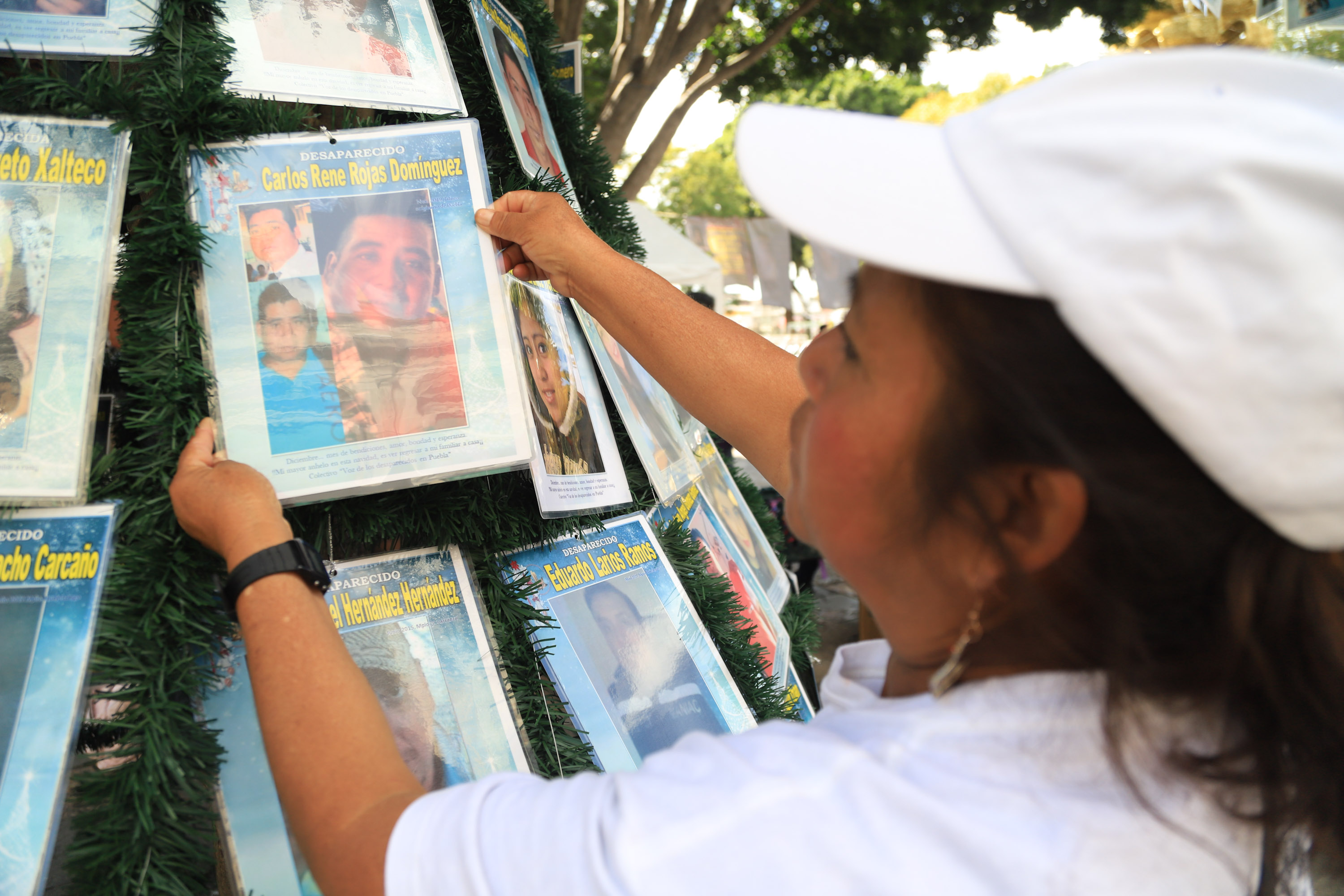 Árbol de la Esperanza en zócalo de Puebla, una ilusión para Colectivo Voz de los Desaparecidos