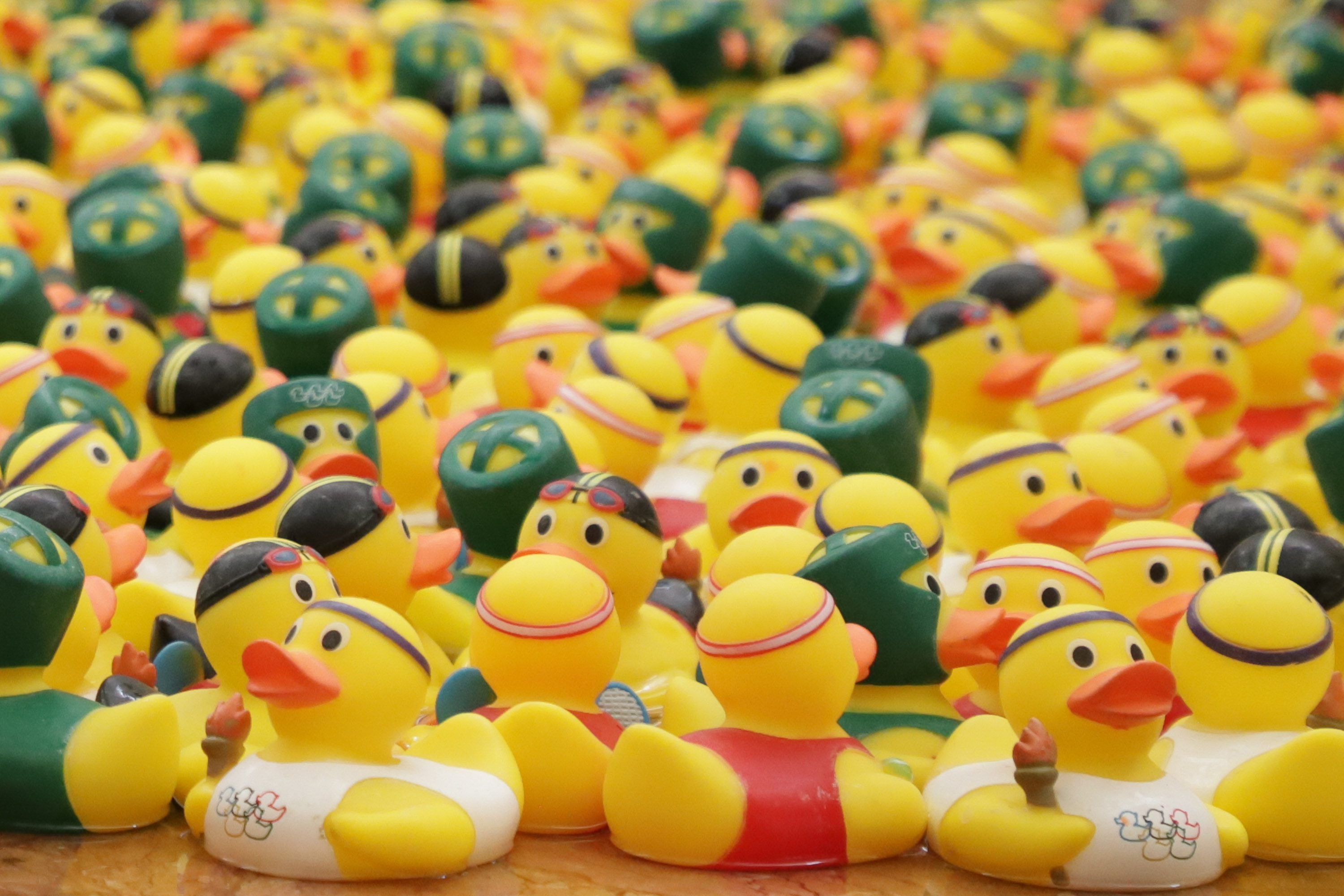 VIDEO Patos Olímpicos en entrenamiento en Angelópolis